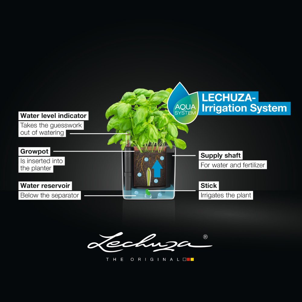 CUBE Premium