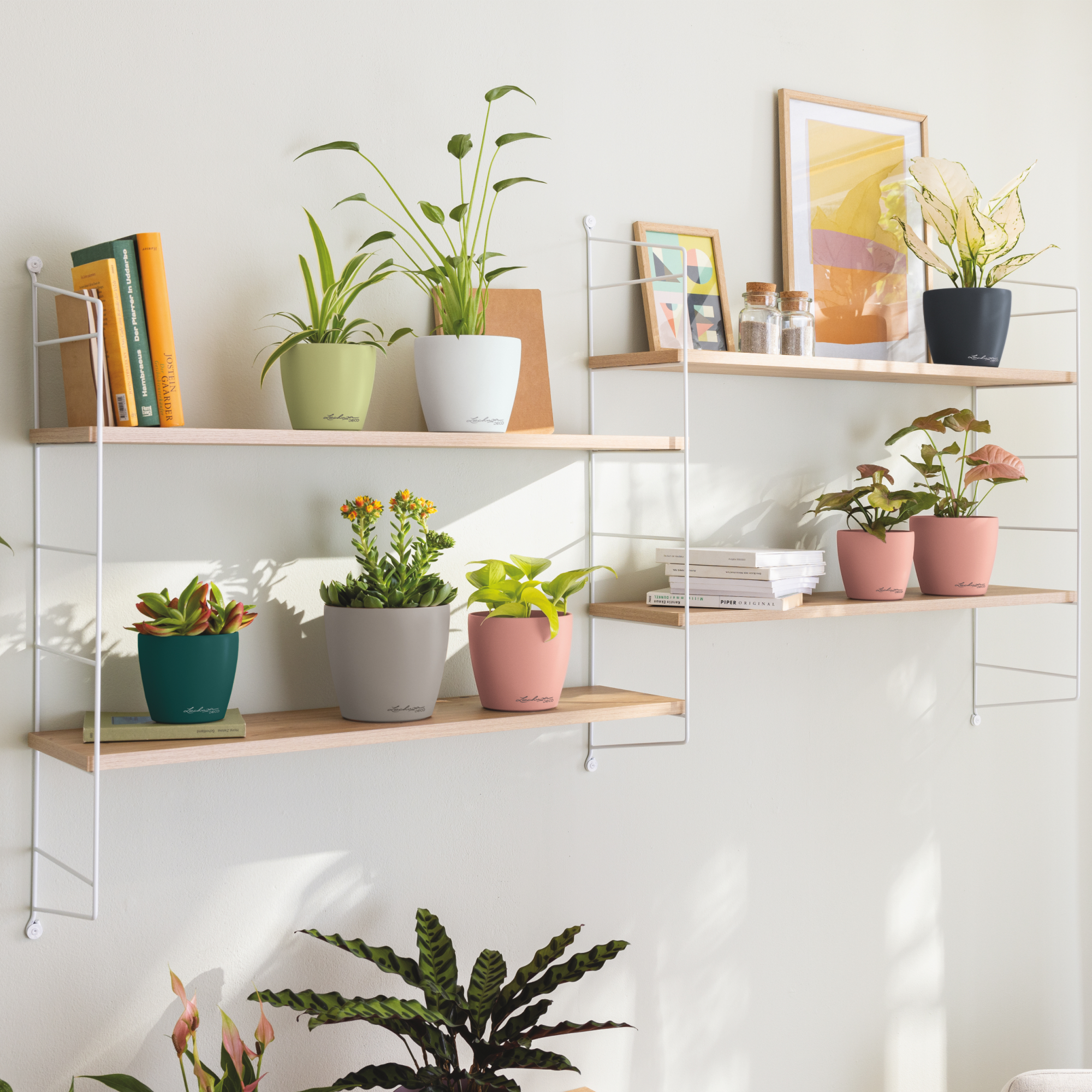 DECO