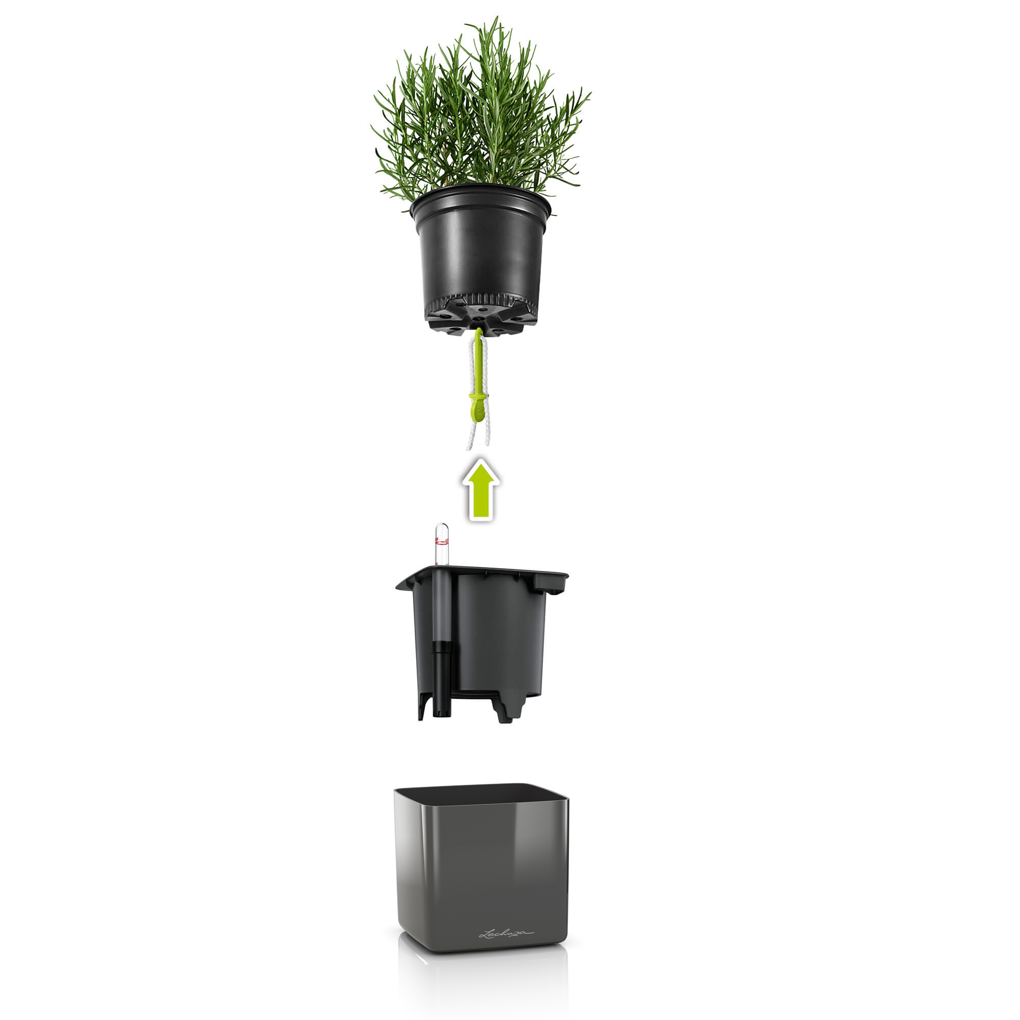 CUBE Premium