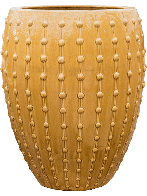 Лаос Император Охра D64×80 см