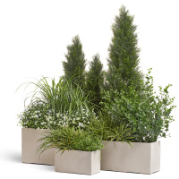 Готовые решения от Treez Готовые решения от Treez