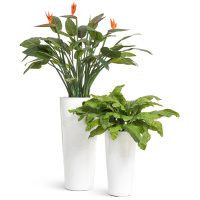 TREEZ Effectory - Gloss