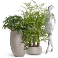TREEZ Effectory - Organic