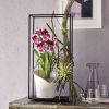 ORCHIDEA