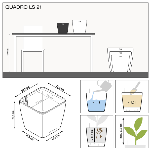 QUADRO LS