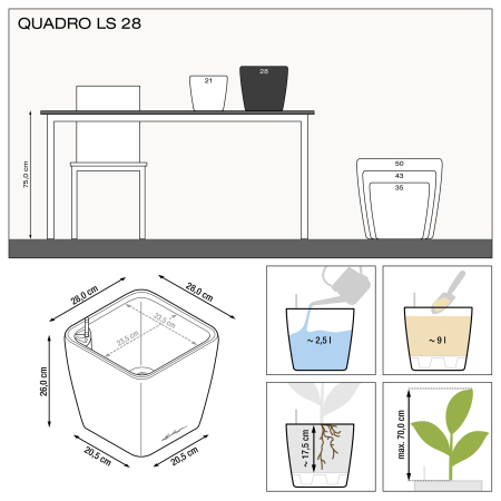 QUADRO LS