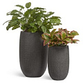 TREEZ Effectory - Stone