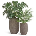 TREEZ Effectory - Terra