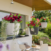 NIDO Cottage