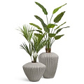 TREEZ Effectory - Moho