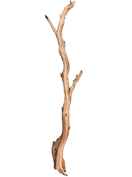 Decowood  D15×100 см
