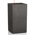 Canto Stone high