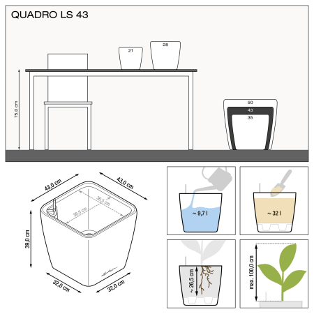 QUADRO LS