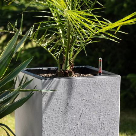 CANTO Slatestone