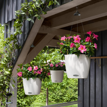 NIDO Cottage
