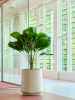Baq Дюна Дарси Бежевый D38×43 см
