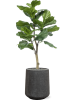 Baq Капля Дождя Дарси Высокий Антрацитовый D37×42 см