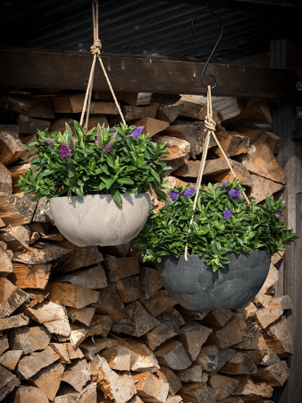 Artstone Фиона Подвесное Серый D25×12 см