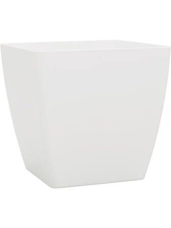 Baq Эколайн Phoenix Обычный Куб 32×32×31 см