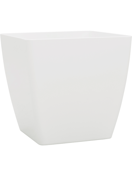 Baq Эколайн Phoenix Обычный Куб 32×32×31 см