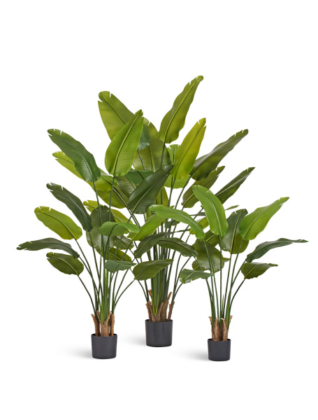 Стрелиция New Style (Sensitive Botanic)