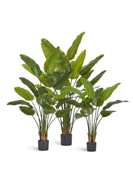 Стрелиция New Style (Sensitive Botanic)